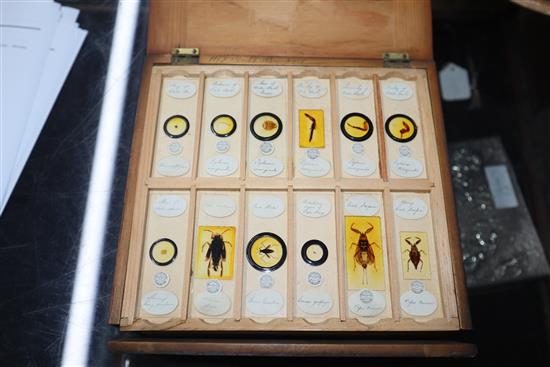 Two cases of scientific microscope slides many by Dareston, Birmingham